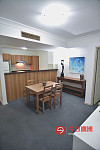 Burwood 下一站Strathfield公寓主卧招租