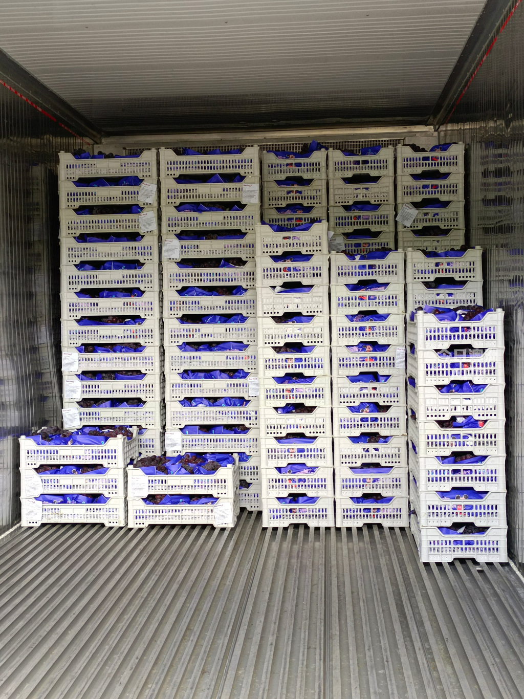 澳洲九州国际物流  中澳专线   冷冻食品 敏感货 包柜tebao海运出口  澳洲强势清关 派送