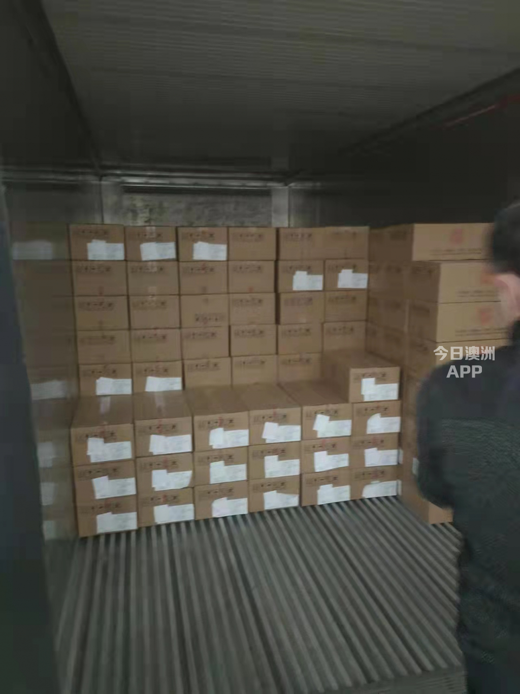 澳洲九州国际物流  中澳专线   冷冻食品 敏感货 包柜tebao海运出口  澳洲强势清关 派送