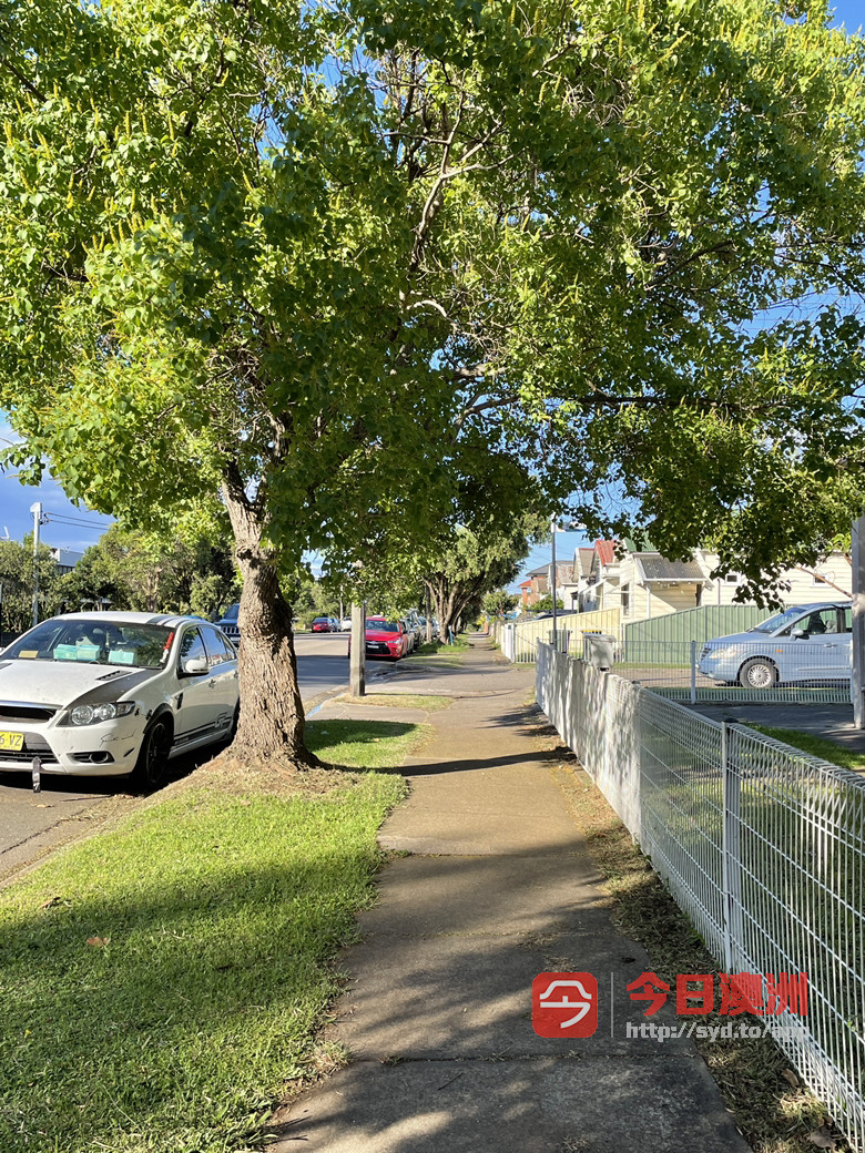今日悉尼Auburn 一房出租 Auburn 一房出租