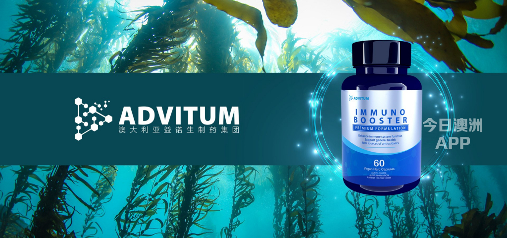 澳洲ADVITUM褐藻糖胶功效如何帮助疫情期快速提升身体免疫力