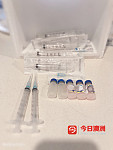 F3猫三联疫苗接种