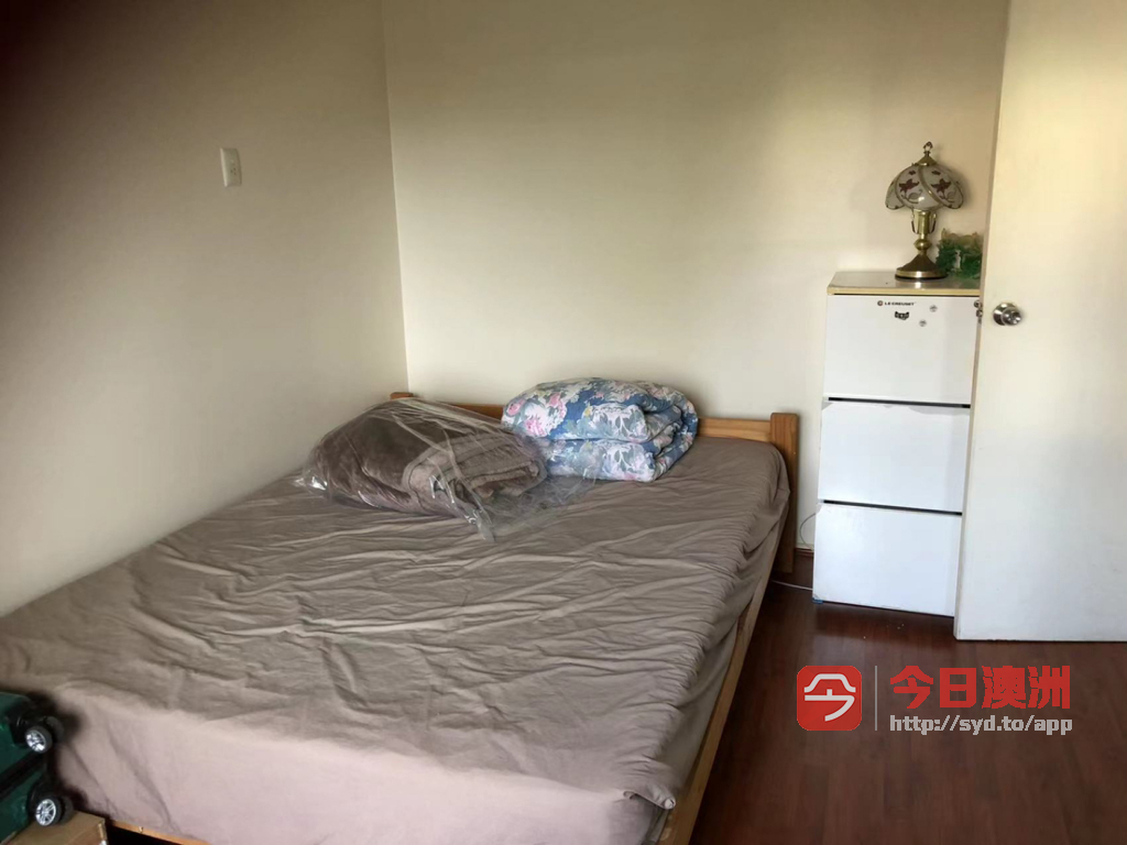 今日珀斯Carlton 悉尼区一大房间出租 Carlton 悉尼区一大房间出租