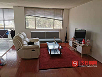 Burwood    公寓阳光大房招租