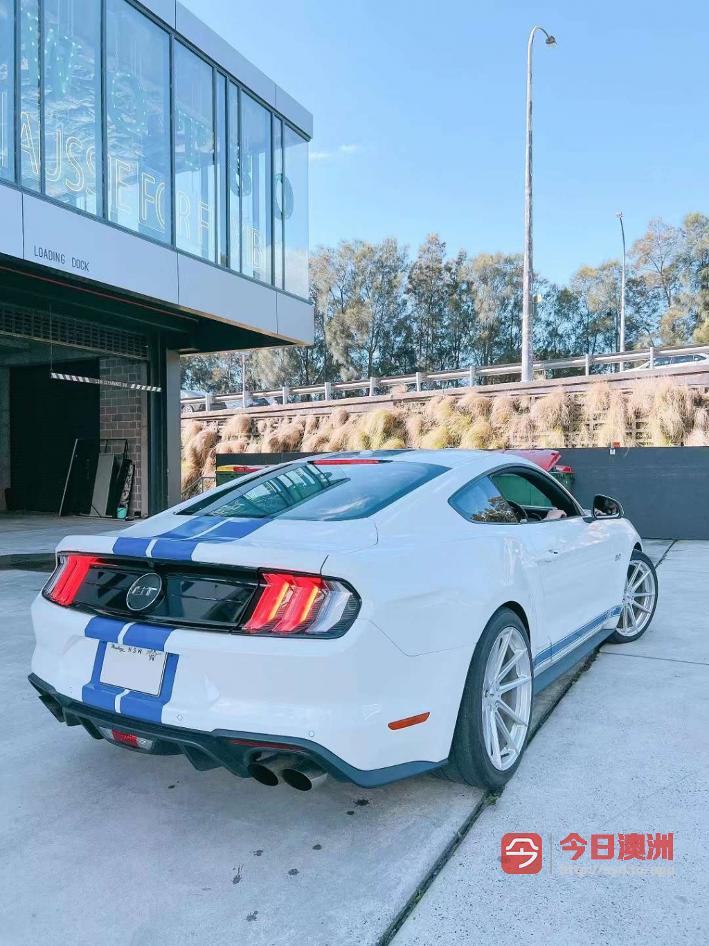 2018 Ford Mustang GT MY19 5L V8自动