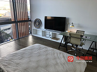 Chippendale Central Park studio 650 一周