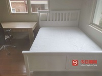 Burwood      近火车站 超大豪华房