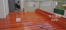  专业木工自配小工承接各类雨棚新建或维修deck围栏扶手楼梯和大门等