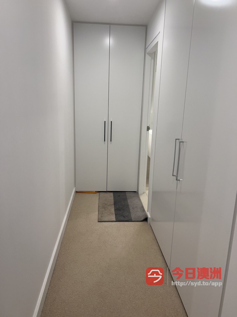 今日悉尼Wolli Creek 高层水景apartment出租单间 Wolli Creek 高层水景apartment出租单间
