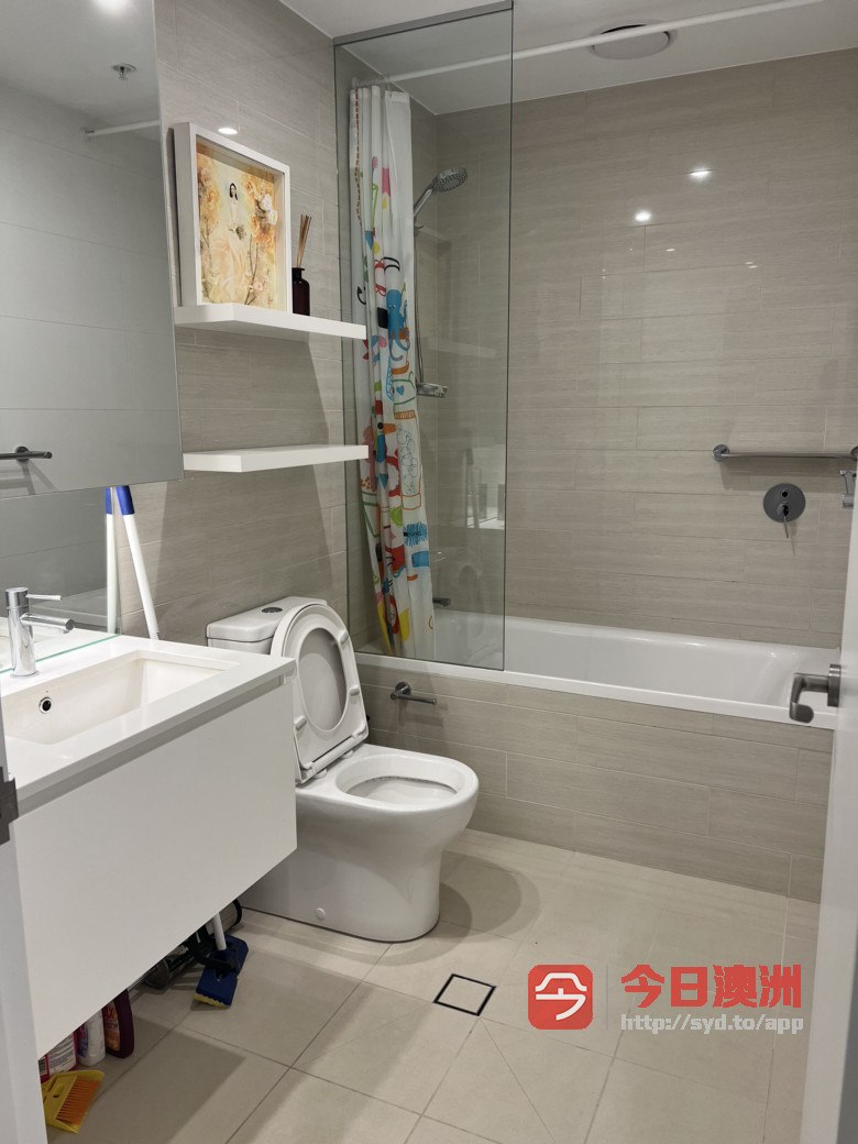 今日悉尼Wolli Creek 高层水景apartment出租单间 Wolli Creek 高层水景apartment出租单间