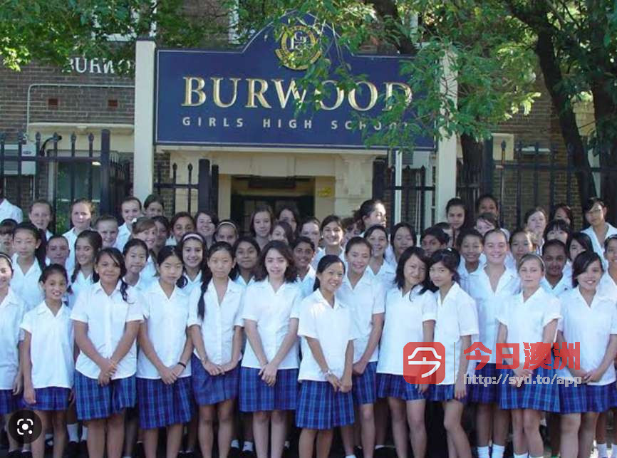 Burwood girls high school 校裙出售