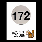AuYin澳如花印丽娜