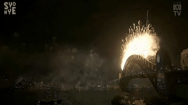 悉尼跨年烟花秀闪耀夜空，10万种烟花特效美翻天（组图） - 15