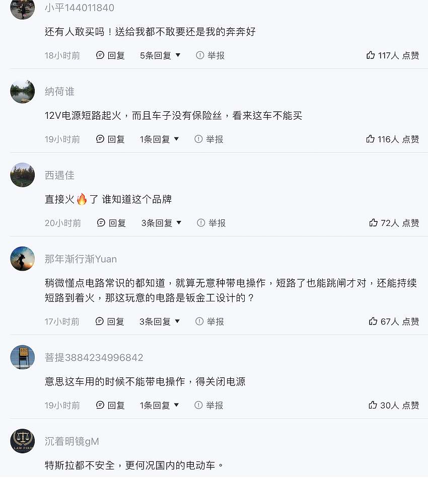 中国电动车在车展起火，车厂发声明卸责，反引爆网友挞伐（组图） - 4