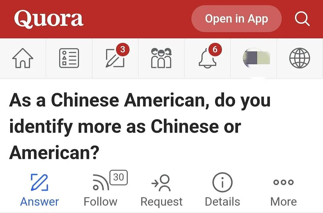 华裔美国人回应：中国身份和美国身份，哪个更认同（组图） - 1