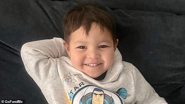 A family whose three-year-old son drowned in her neighbour's backyard swimming pool had moved into their new home just days before he was found dead by his mother