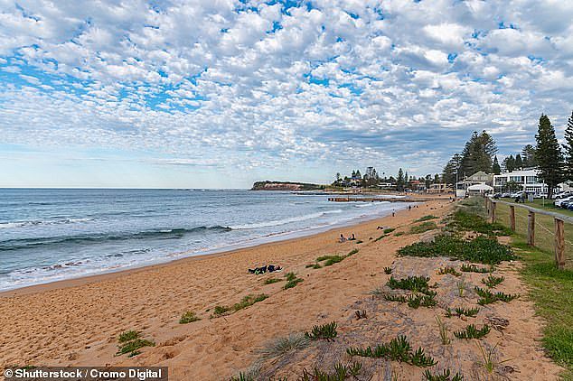A massive search was launched at Collaroy Beach after reports of a body' floating in the water
