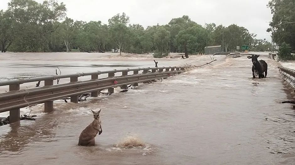 西澳遇有史以来最大洪水，多地交通阻断，通讯断联，救援进行中（组图） - 5
