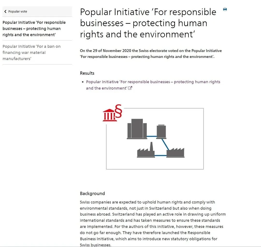 瑞士联邦政府官网中RBI公投截图