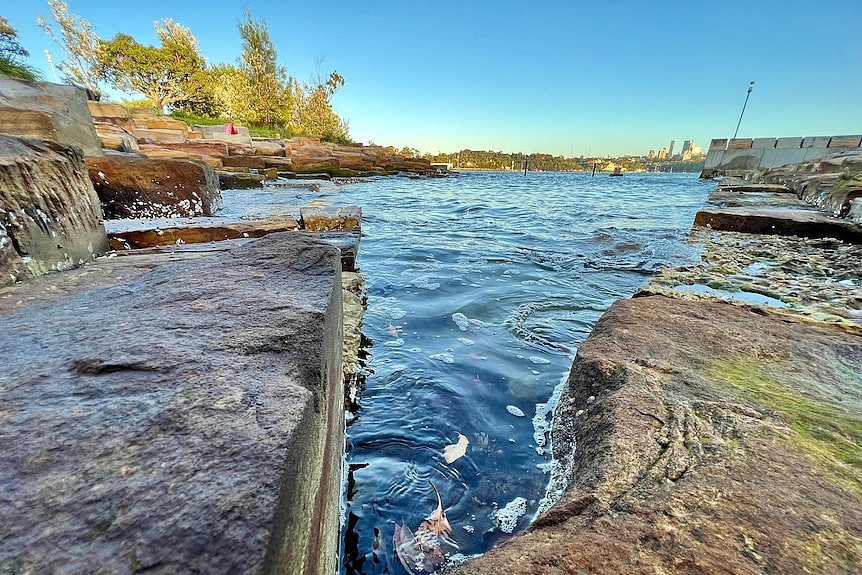 Water laps at rocks with trees in the background