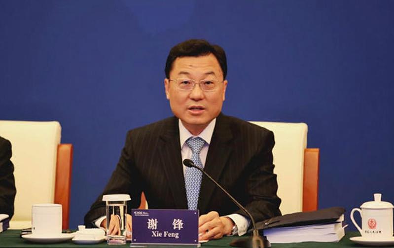 中国外交部副部长谢锋传将接任驻美大使。 （取材自中国外交部官网）