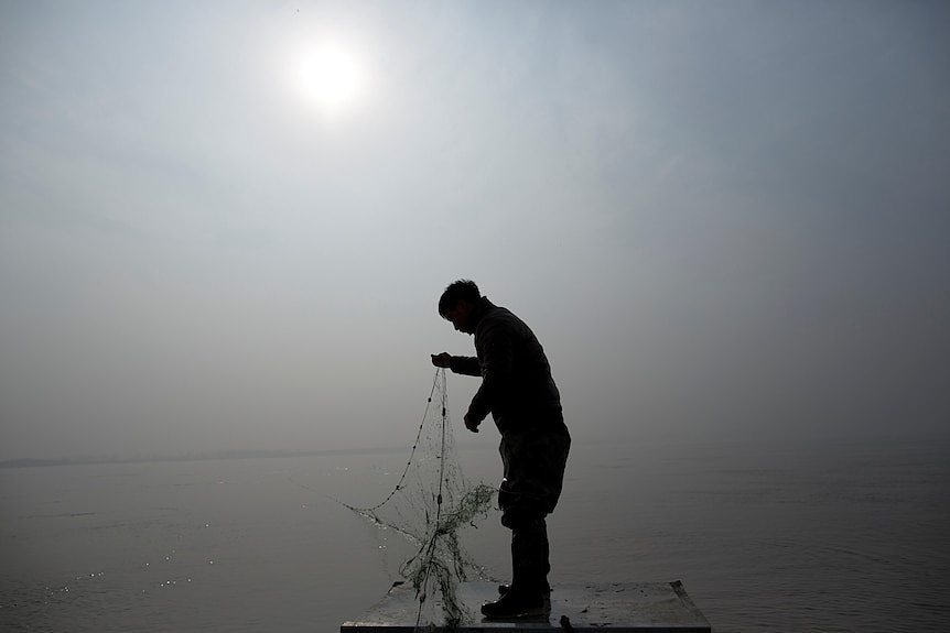 强烈日光下，一名男子站在郑州黄河边