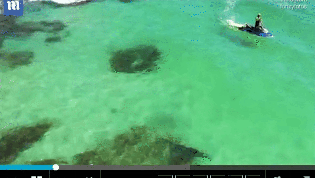 西澳家庭无人机海边赏景，发现3条大鲨鱼！通知及时，游客有惊无险（组图） - 4