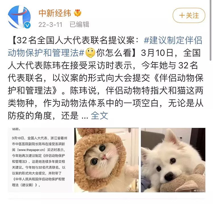 【宠物】邻居14天摔死7只流浪猫，他们却说：请文明虐猫？！（组图） - 22