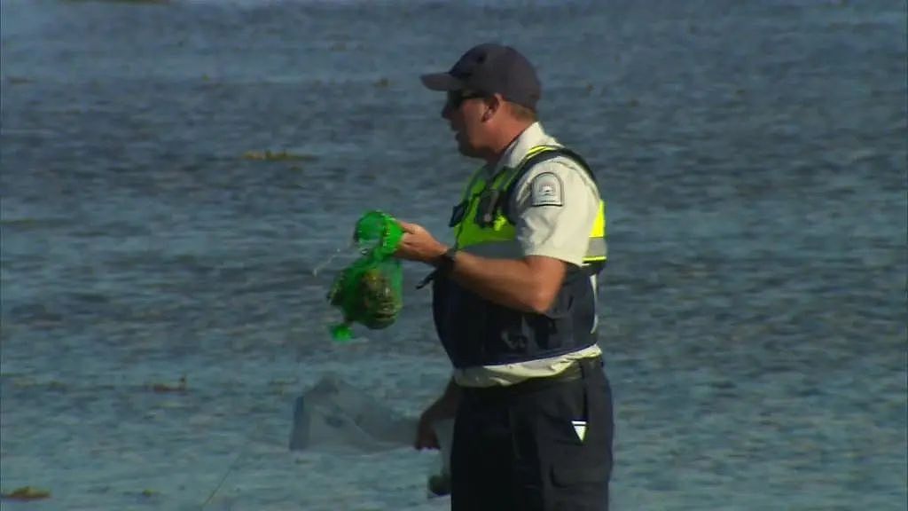 西澳渔民太贪心，多捕35只鲍鱼，将被起诉（图片） - 3