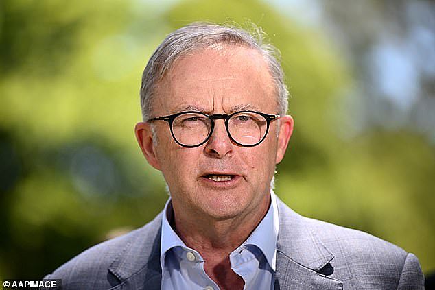 The government has released a discussion paper outlining two draft proposals that close the legal loophole (pictured, Prime Minister Anthony Albanese)