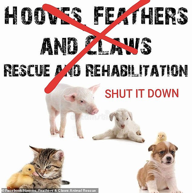 The angry group of neighbours want animal shelter Hooves, Feathers and Claws shut down