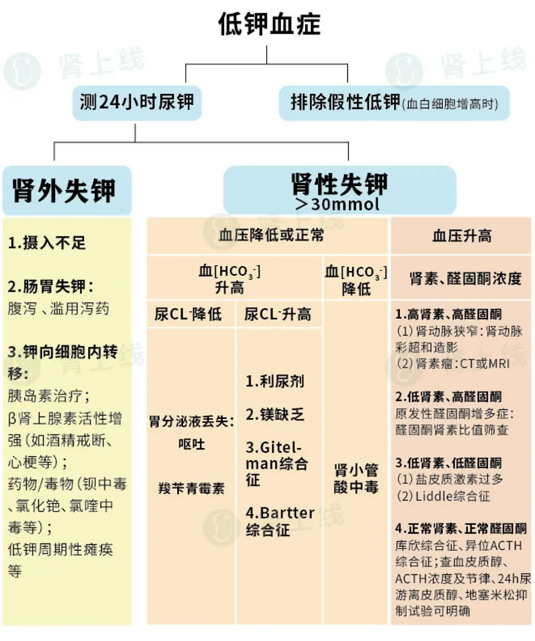 “阳康”后剧烈运动猝死的原因找到了：低钾血症引发？（图） - 6