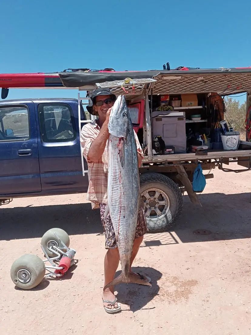 羡慕！西澳男子海边钓上大鱼，长1.61米，重27公斤（图片） - 2