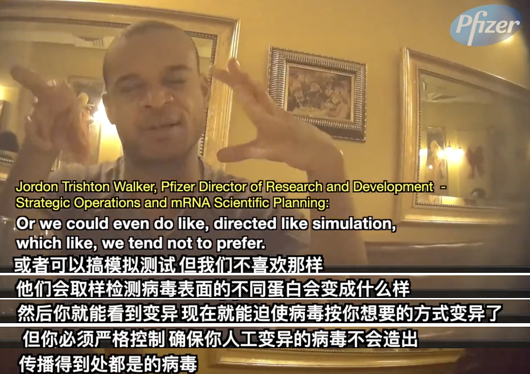 考虑研发新冠变种？把病毒当摇钱树？卧底暗访辉瑞主管的视频在外网炸了……（组图） - 6