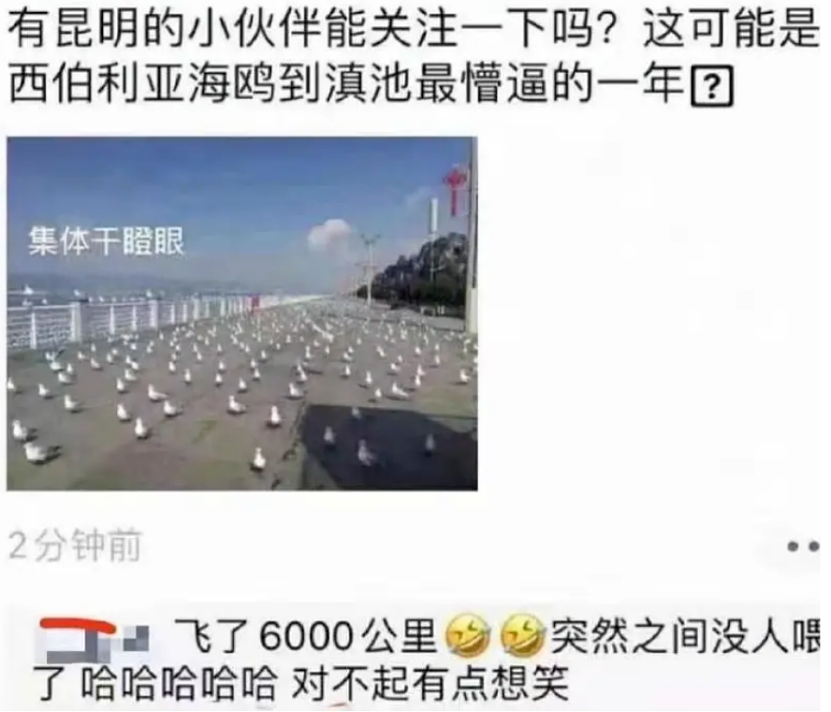 7天猛赚3700亿！憋疯的中国游客，到底救活了多少景区？（组图） - 2