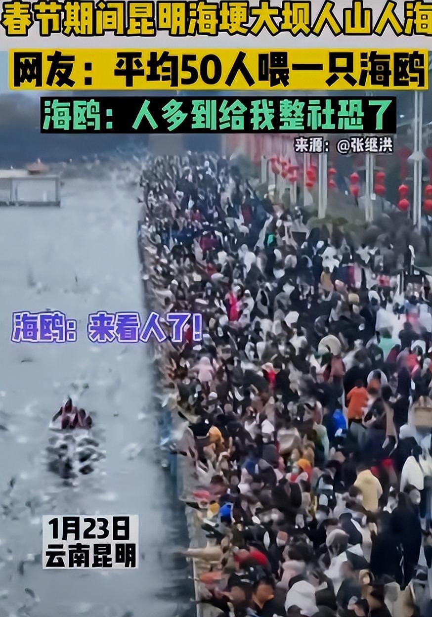 7天猛赚3700亿！憋疯的中国游客，到底救活了多少景区？（组图） - 3