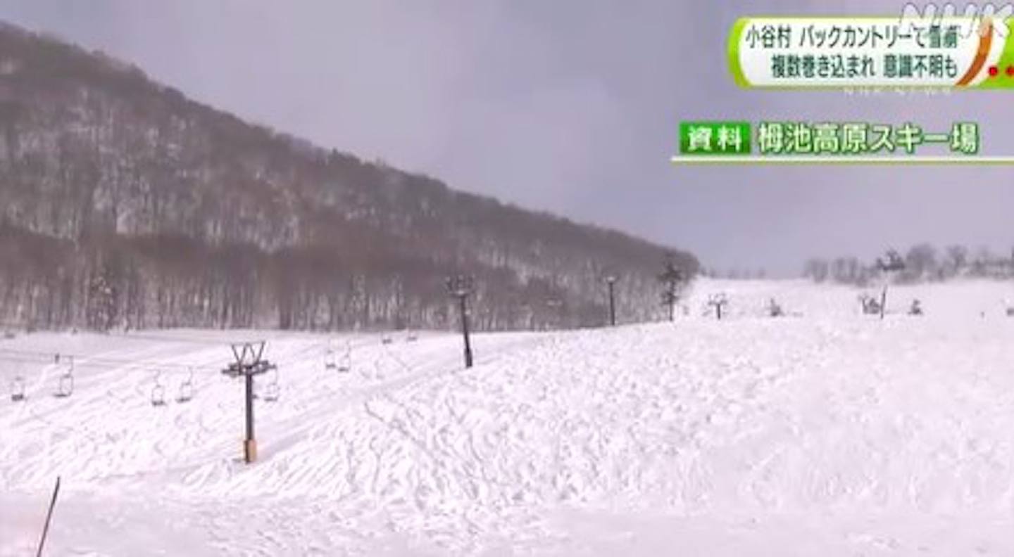 圖為日本放送協會就長野縣栂池高原滑雪場（栂池高原スキー場）2023年1月29日發生雪崩事件進行報道。（日本放送協會）