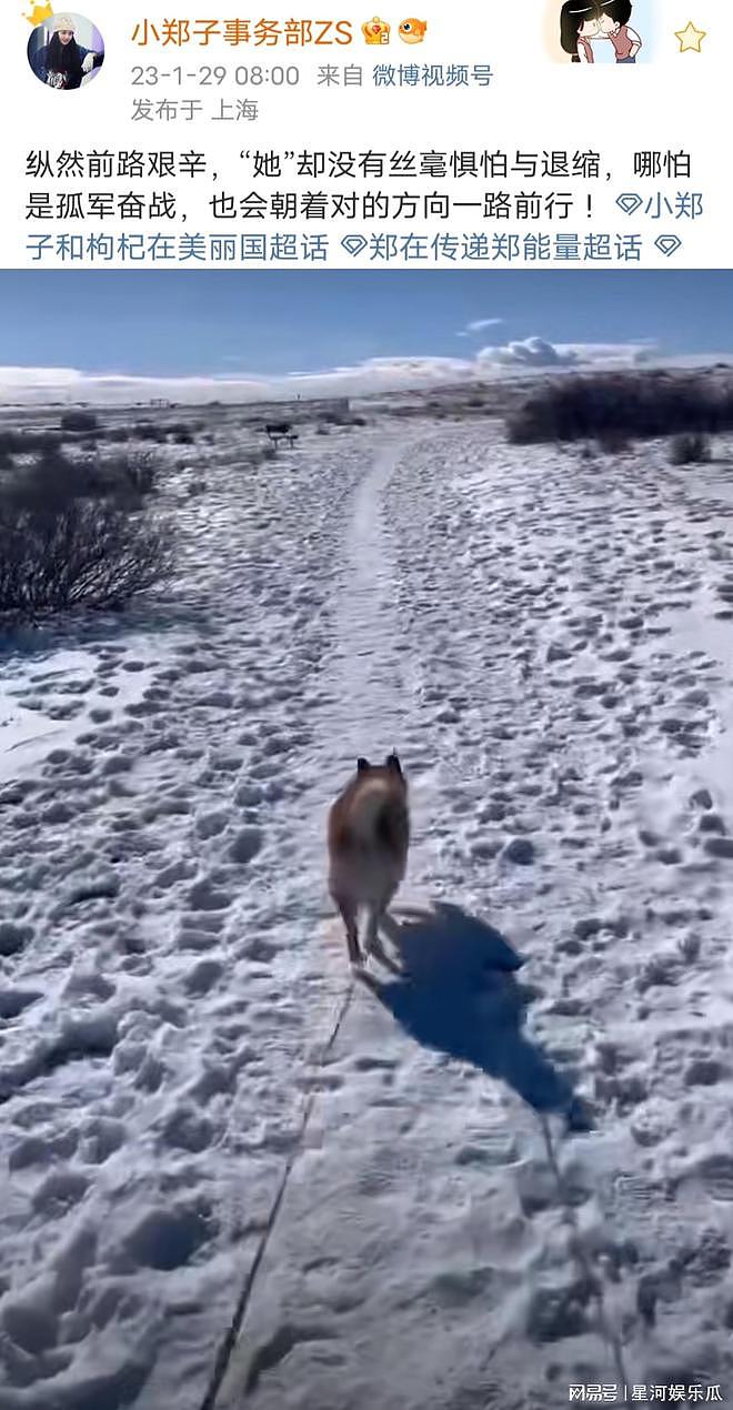 张恒称赔了6000万，曝光的录音只是冰山一角，郑爽晒雪地遛狗视频（组图） - 10