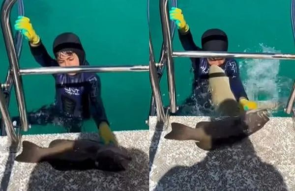 8岁男童正准备上船突然冲出鲨鱼「紧咬住胸口」惊险画面曝光。 （图／翻摄自TikTok）