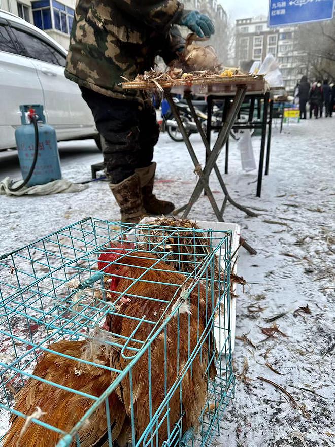 山东威海乳山部分海景房每平米已跌破千元 买房者几乎都是外地人（视频/组图） - 5