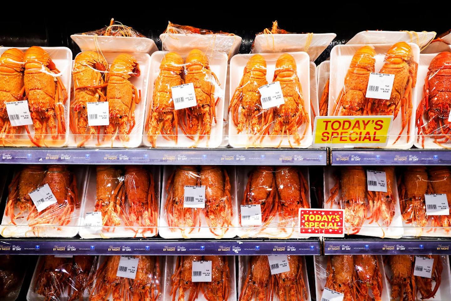圖為2021年12月23日，悉尼魚市場售賣的龍蝦。（Getty）