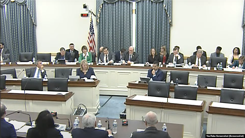 US House hearing on Covid-19 origin. (screenshot) 