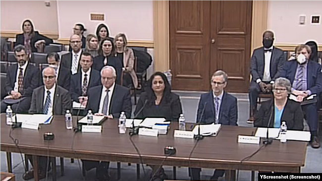 US House hearing on Covid-i19. (Screenshot)