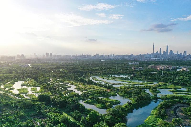 11.广东广州海珠国际重要湿地