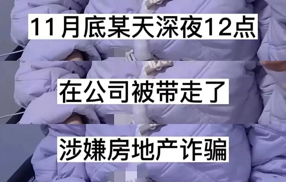 女星王丽坤被曝遭警方传唤带走，老公诈骗超10亿（组图） - 3