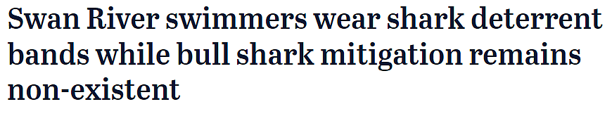 澳洲鲨鱼科学家、珀斯游泳者倾情分享：对于鲨鱼袭击，我们要注意这些 - 1