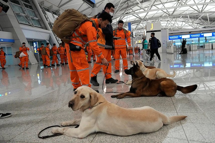 South Korean rescue team members arrive to board a plane to leave for quake-ravaged Turkey.