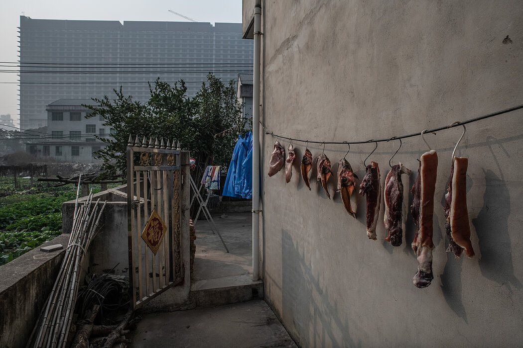 养猪场附近的村子里晾晒的腊肉。猪肉在中国人的饮食中占有特殊的文化和烹饪意义。