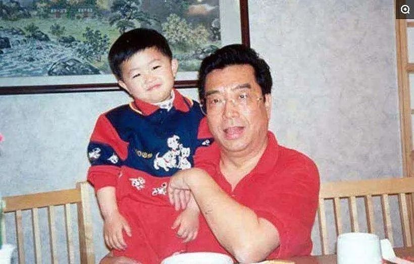84岁李双江身体硬朗，儿子李天一被传今年出狱（组图） - 7
