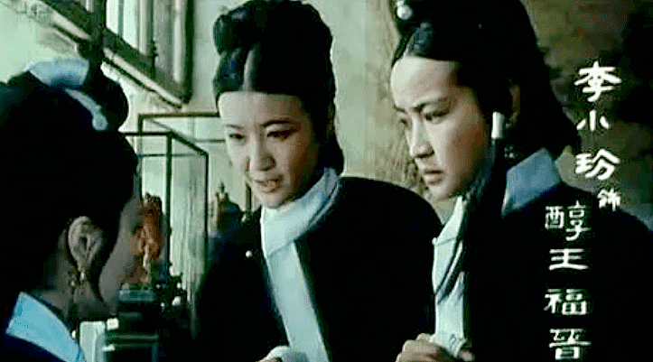 央视春晚主持人李小玢：红极一时的她两婚两离（组图） - 8